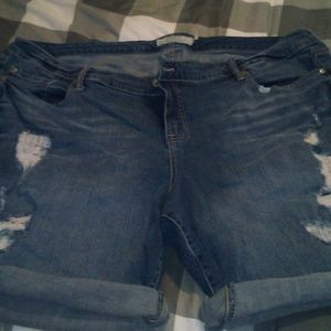 Torrid Shorts
